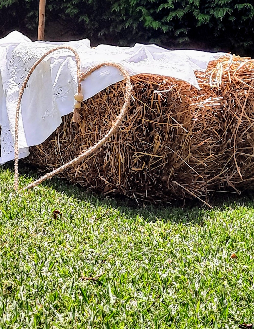 Imagem do casamento de Vera e Miguel